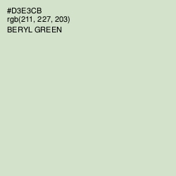 #D3E3CB - Beryl Green Color Image